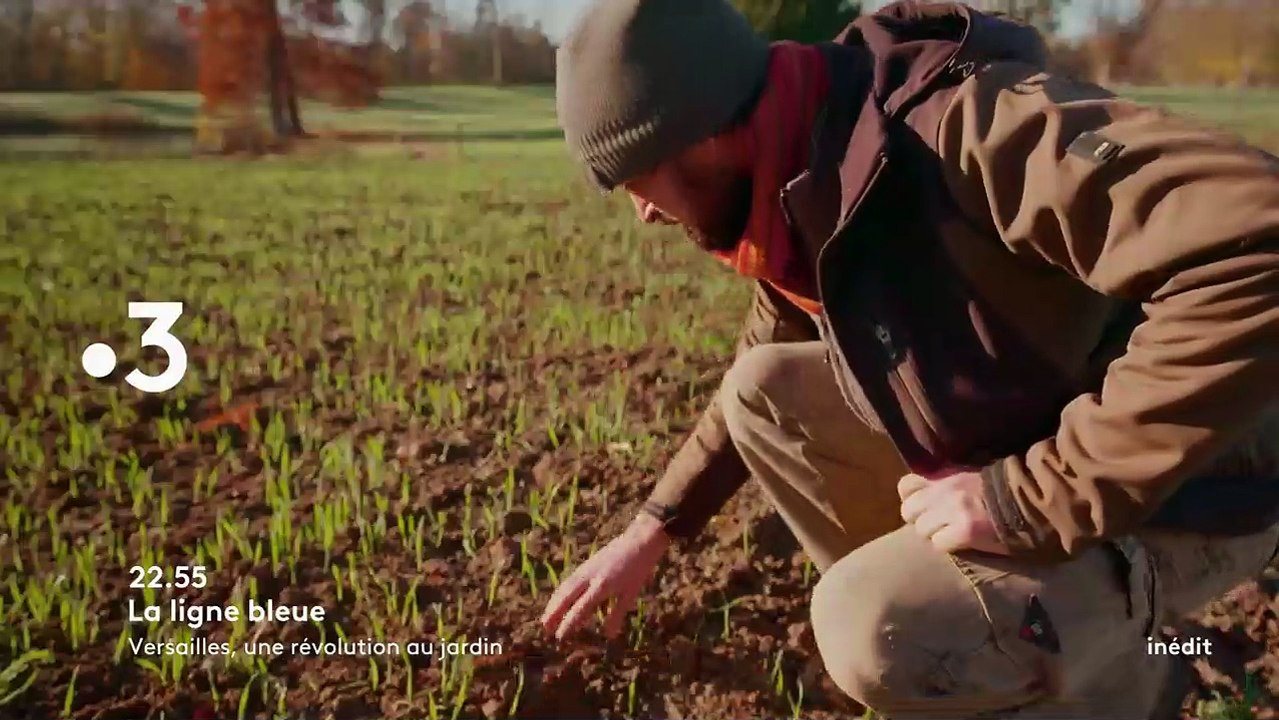 Versailles, une révolution au jardin - 21 mars
