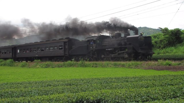 Japan Oigawa honsen locomotive C56-44 and steam train in Fukuyo 大井川本線C56形蒸気機関車44号 오이가와 본선 C56형 증기기관차 44호