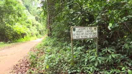 Environnement : état d'avancement des travaux de la baie de Cocody
