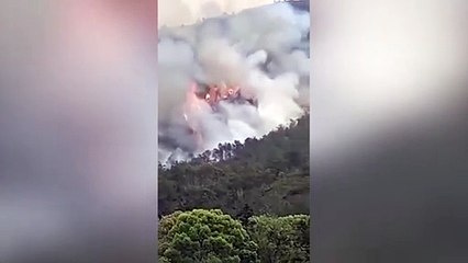 ext-avion-en-china-210322