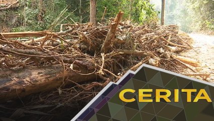 Cerita Sebalik Berita: Hutan diratah, implikasi terhadap alam sekitar