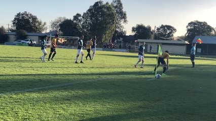 Area News Rhinos 20s vs Tigers