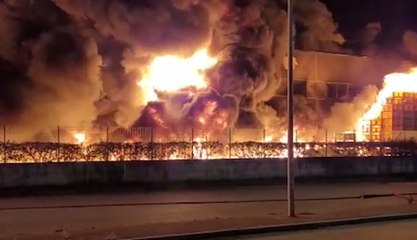 Eboli (SA) - Vasto rogo in azienda ortofrutticola (21.03.22)