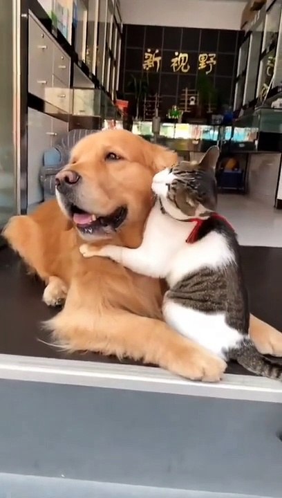They_are_very_united_and_love_each_other