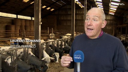 Egyes műtrágyák ára tavaly óta négyszeresére nőtt, ennek hatását a fogyasztók is érzik majd