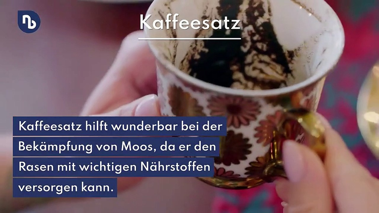 Mit diesen Mitteln werden Sie Moos im Garten los