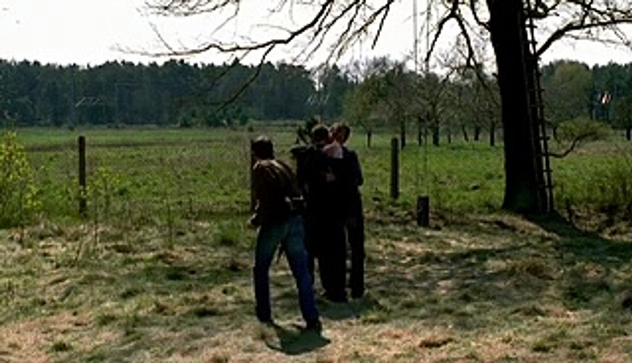 Célébrez la vitalité du cinéma avec la 34e édition du Festival Premiers Plans d'Angers