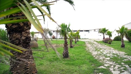 Palha Emilio de Justo