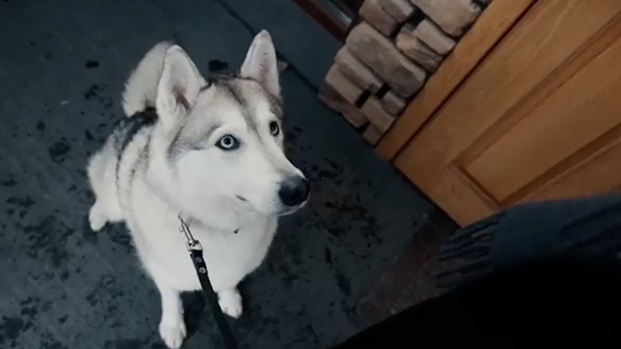 Guerre en Ukraine : Moscou veut faire «cesser la haine anti-Russes» dans un clip de propagande