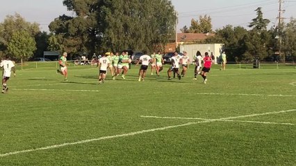 20180429 league tag Leeton v B\Ws