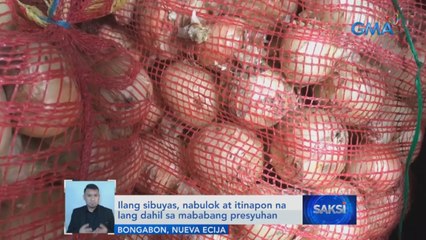 Ilang sibuyas, nabulok at itinapon na lang dahil sa mababang presyuhan | Saksi