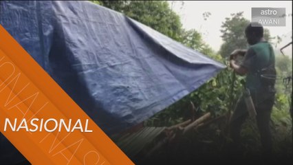 Orang Asli bina bangsal atas bukit untuk persediaan banjir