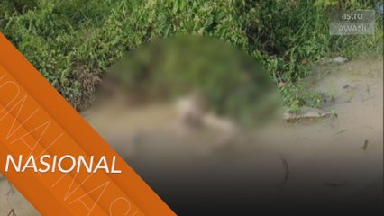 Mayat reput bertatu ditemui di Sungai Muda