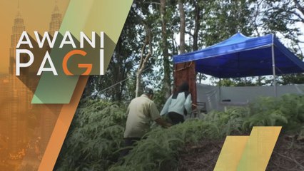 AWANI Pagi: Dua beradik daki bukit untuk dapat capaian internet