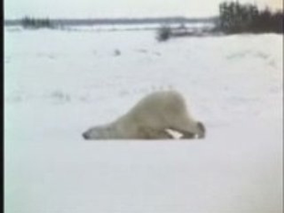 Lundi matin