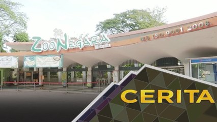 Cerita Sebalik Berita: Apa nasib 4,000 haiwan di Zoo Negara?
