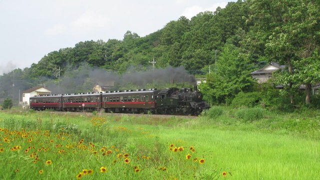 Japanese Mooka line C12-66 with steam train with in Mashiko 真岡線のC12形蒸気機関車66号は「SLもおか」と一緒に益子にあります