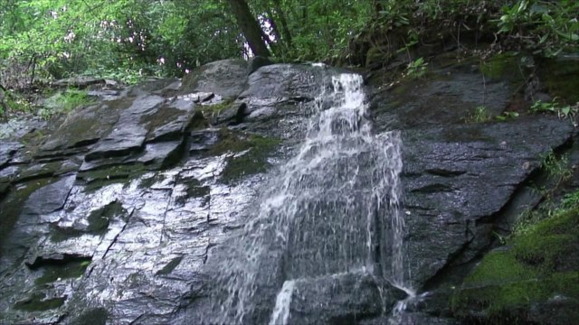 The World's Biggest Tree House Resort Is Opening Near This U.S. National Park