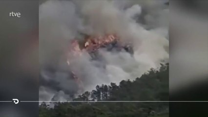 ext-caida-de-avion-210322