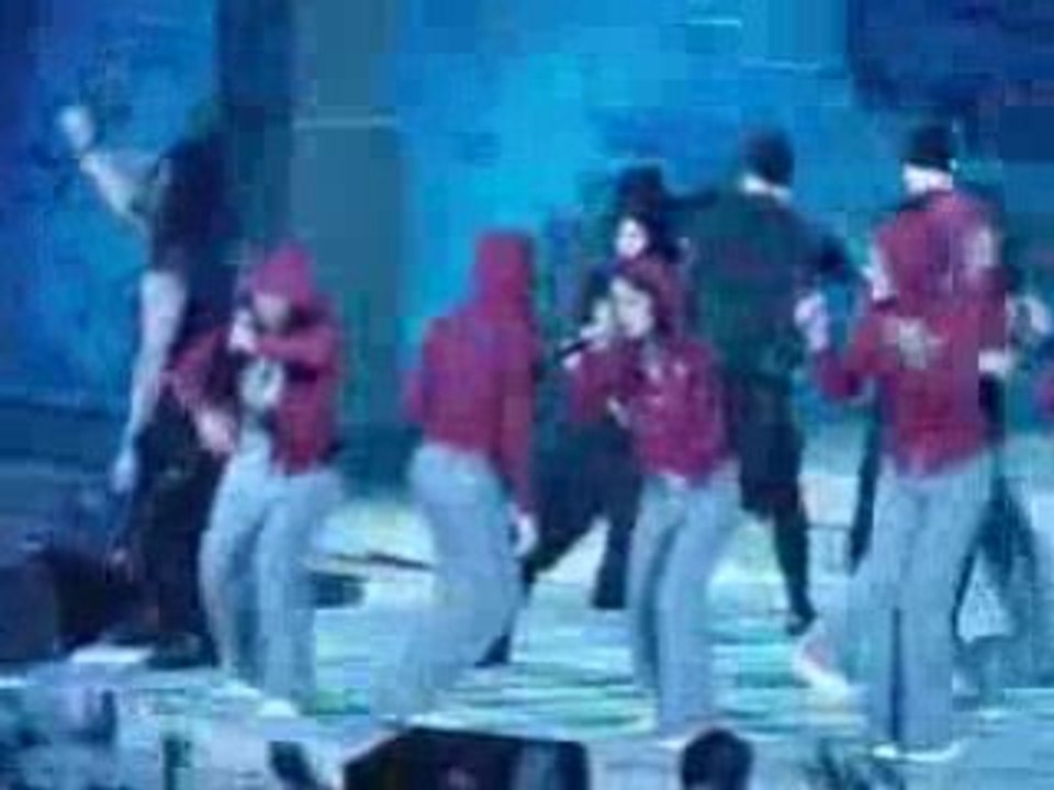 Live les Enfoirés 2008 Fous Ta Cagoule