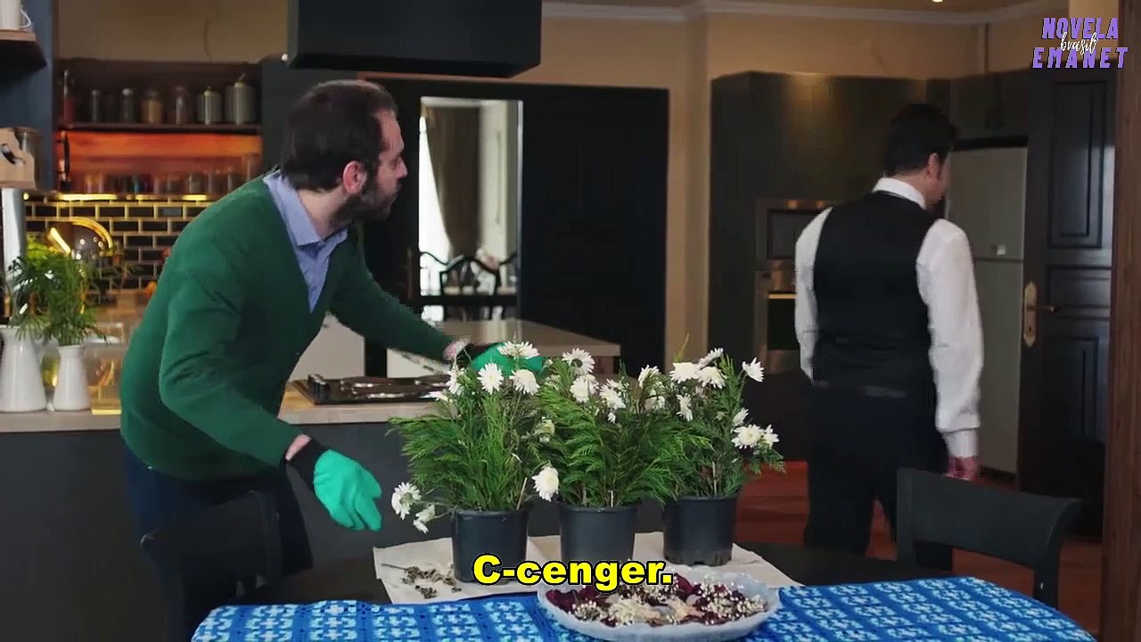 Eu comprei isso para você – CENA EP 341