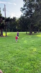 Black Eye During Baseball Practice