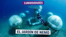 [CH] El Jardín de Nemo, la huerta submarina de verduras