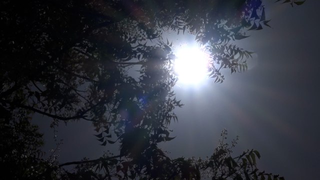 Pronostican altas temperaturas y días soleados en Nicaragua