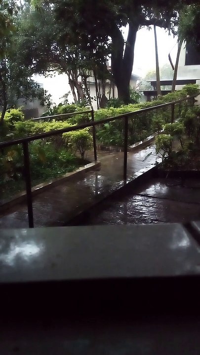 Chuva no quintal