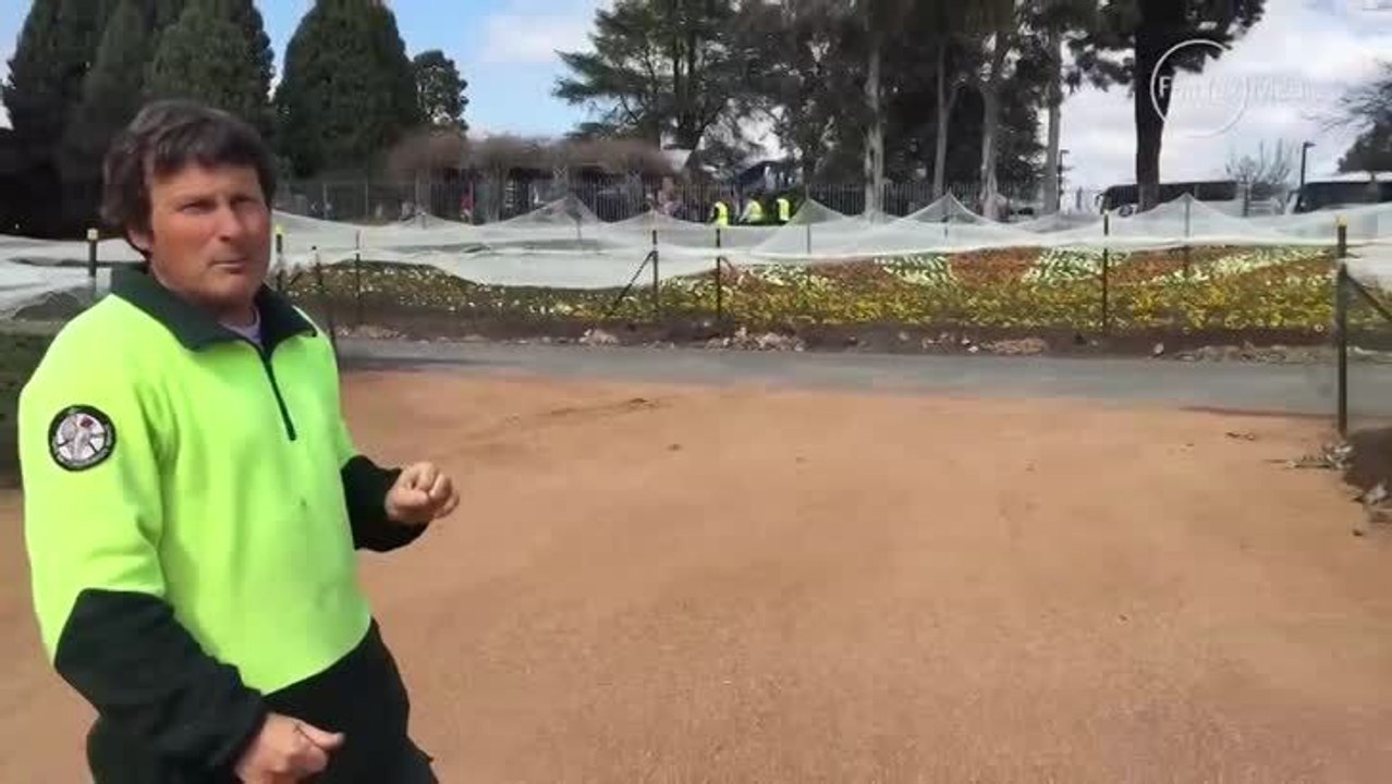 Behind the scenes with Floriade creator