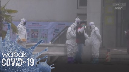COVID-19: Misi mencari asal-usul virus
