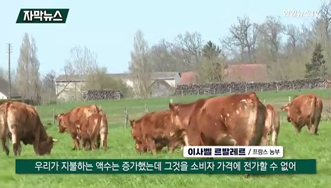 [자막뉴스] 우크라 전쟁 뒤 밀가격 21%↑…식량위기 현실로
