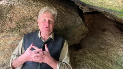 The secret life of Bogong moths