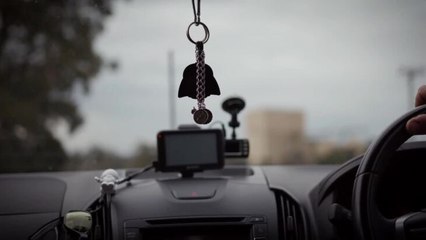 sane-life-after-bushfires-butch-final