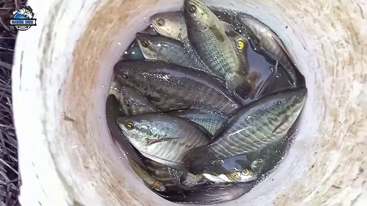 COBA MANCING HABIS HUJAN TAK DISANGKA BISA DAAPT IKAN SEBANYAK INI