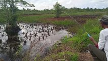 Umpan Baru DIlempar Kedalam Air Tapi Langsung di Sambar Oleh Ikan Babon