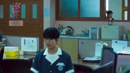 BELLEZA EN SOMBRAS 9