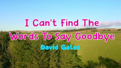 I Can't Find The Words To Say Goodbye_David Gates | Karaoke Version |HD