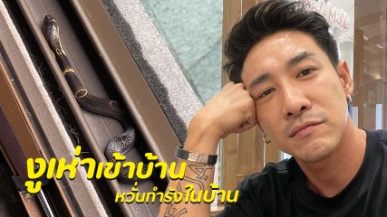 บอย พิษณุ หลอนหนักลูกงูเห่าเข้าบ้าน โร่ถามผู้รู้ กลัวแอบทำรัง ลั่นช่วงนี้มีแต่เรื่อง