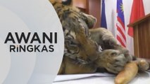 AWANI Ringkas: Polis rampas harimau belang, gading gajah | COVID-19: Johor pertama kali catat kes harian tertinggi