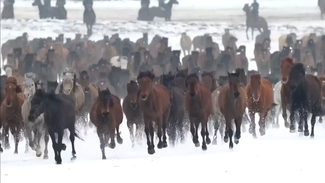 Horses return to fresh grasslands in Xinjiang as spring arrives in China’s far western region