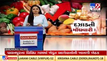 Kesar mangoes to witness price hike this summer 2022 _Gujarat _TV9GujaratiNews