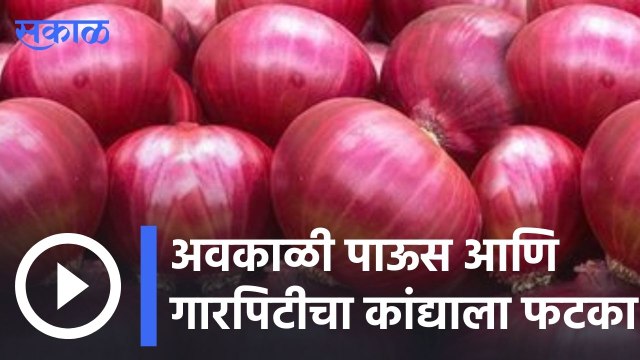 Nashik Onion Price : अवकाळी पाऊस आणि गारपिटीचा कांद्याला फटका | Sakal |