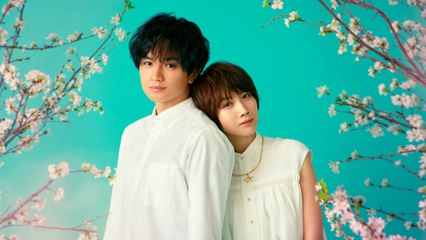 Love Like the Falling Petals - Trailer (English Subs) HD