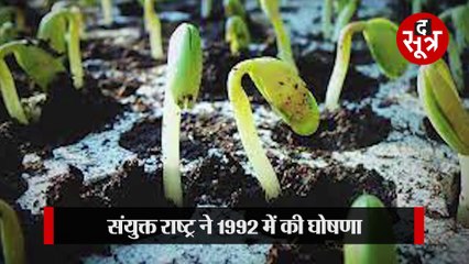 जल बिन जीवन की कल्पना अधूरी,  इस प्राकृतिक धरोहर को संभालना बेहद जरूरी