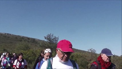 Gölova Çakaltepe MENDERES _D