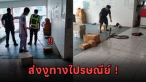 ช่างหาทำ ! ส่งงูจงอางยาว 4 เมตรทางไปรษณีย์ พนักงานผวาหนัก หัวใจจะวาย
