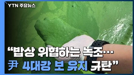 환경단체 "밥상 위협하는 독성 녹조...尹 '4대강 보' 유지 규탄" / YTN