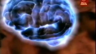 Cerebro: Empatía y neuronas espejo