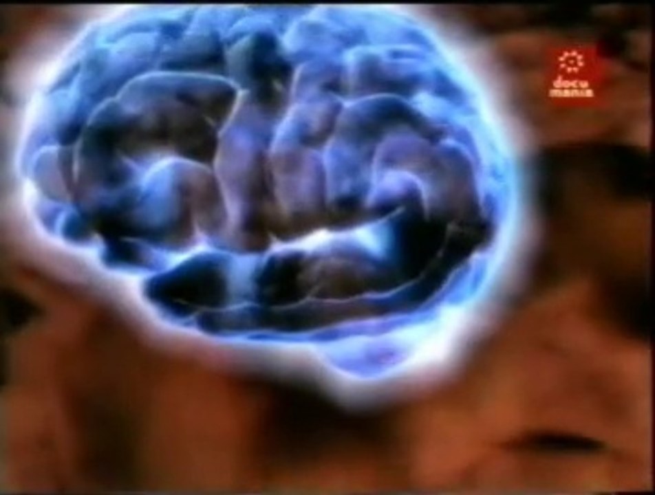 Cerebro: Empatía y neuronas espejo